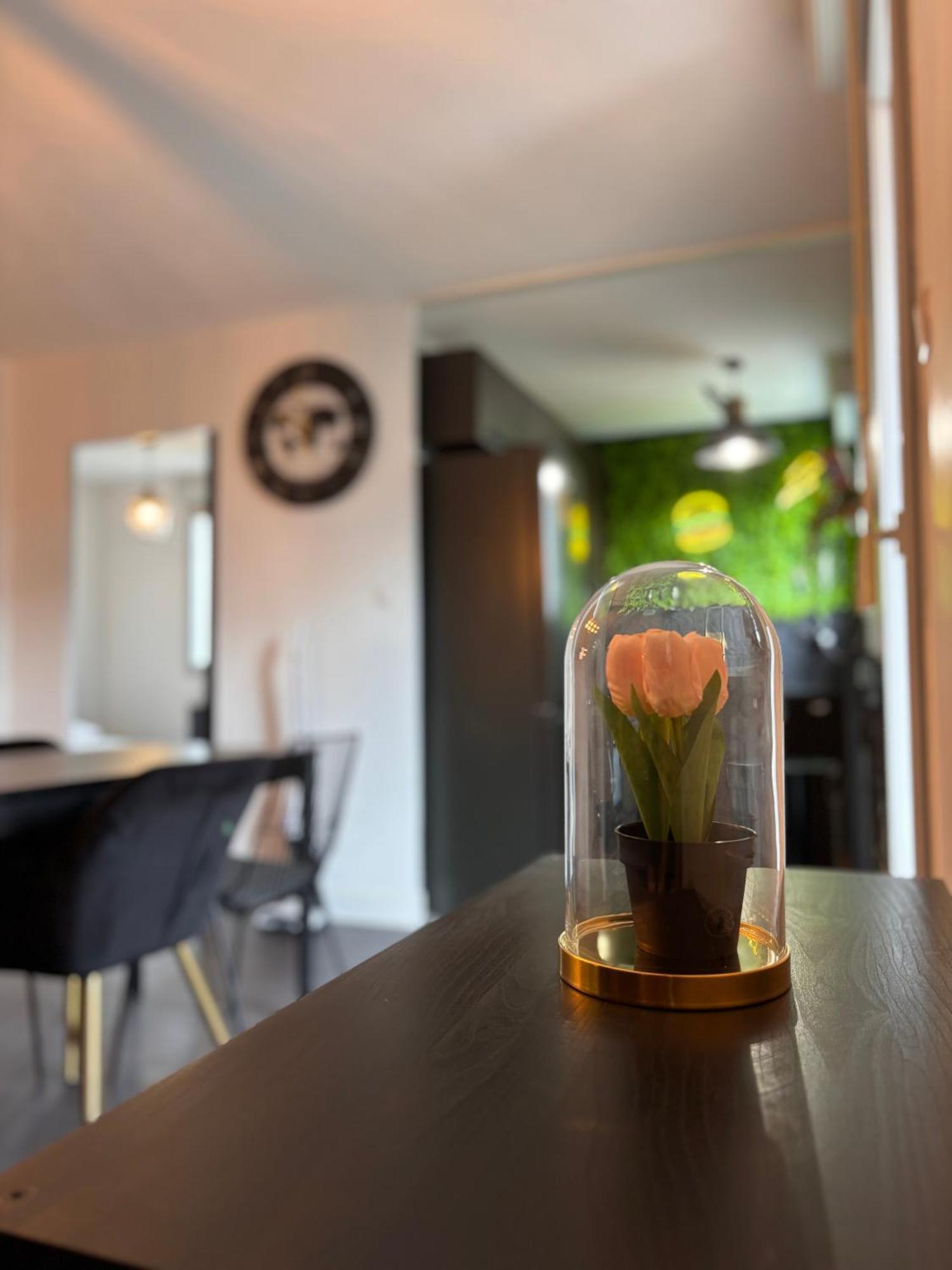 Charmant Appartement טולוז מראה חיצוני תמונה